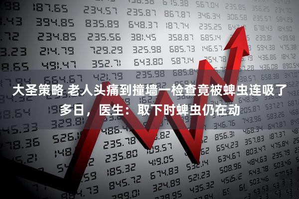 大圣策略 老人头痛到撞墙一检查竟被蜱虫连吸了多日，医生：取下时蜱虫仍在动