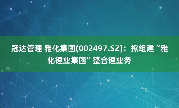 冠达管理 雅化集团(002497.SZ)：拟组建“雅化锂业集团”整合锂业务