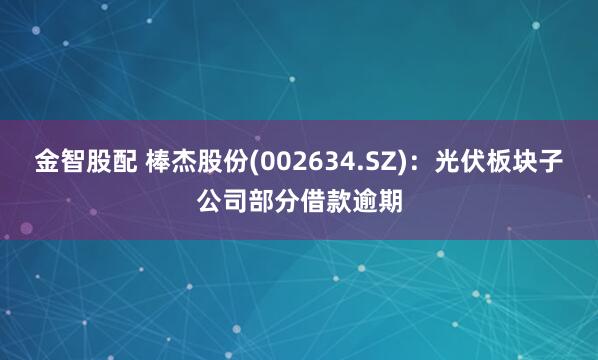 金智股配 棒杰股份(002634.SZ)：光伏板块子公司部分借款逾期