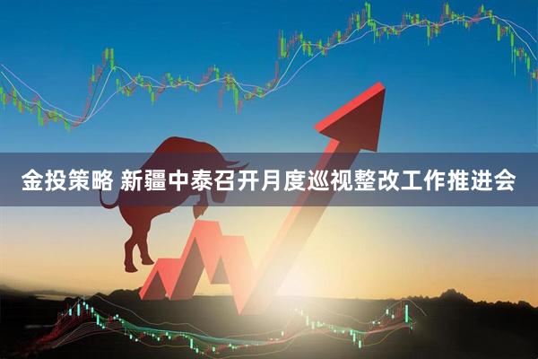 金投策略 新疆中泰召开月度巡视整改工作推进会