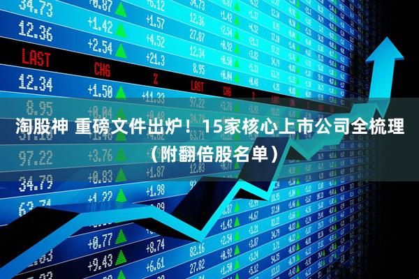 淘股神 重磅文件出炉！15家核心上市公司全梳理（附翻倍股名单）