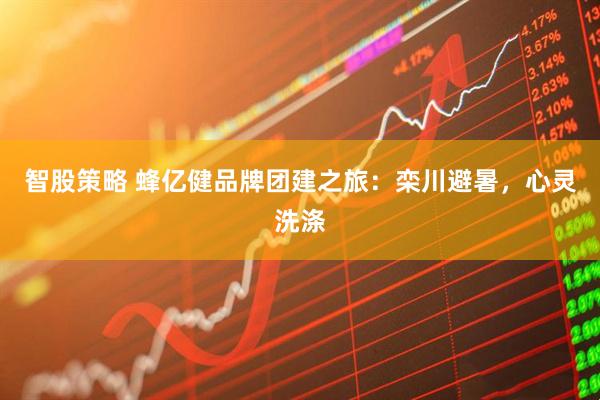 智股策略 蜂亿健品牌团建之旅：栾川避暑，心灵洗涤