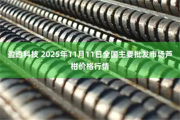 盈透科技 2025年11月11日全国主要批发市场芦柑价格行情