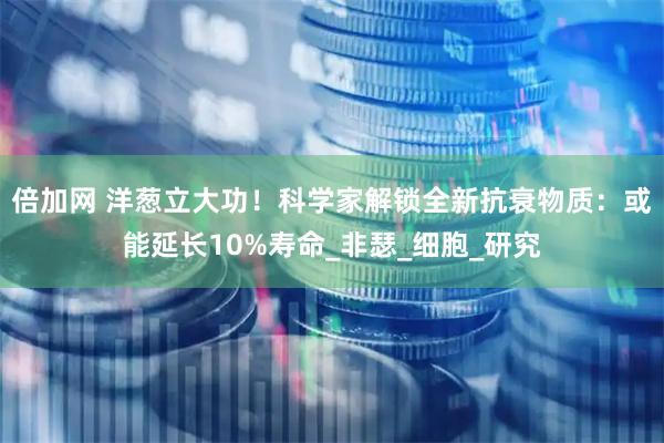 倍加网 洋葱立大功！科学家解锁全新抗衰物质：或能延长10%寿命_非瑟_细胞_研究