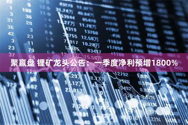 聚赢盘 锂矿龙头公告：一季度净利预增1800%